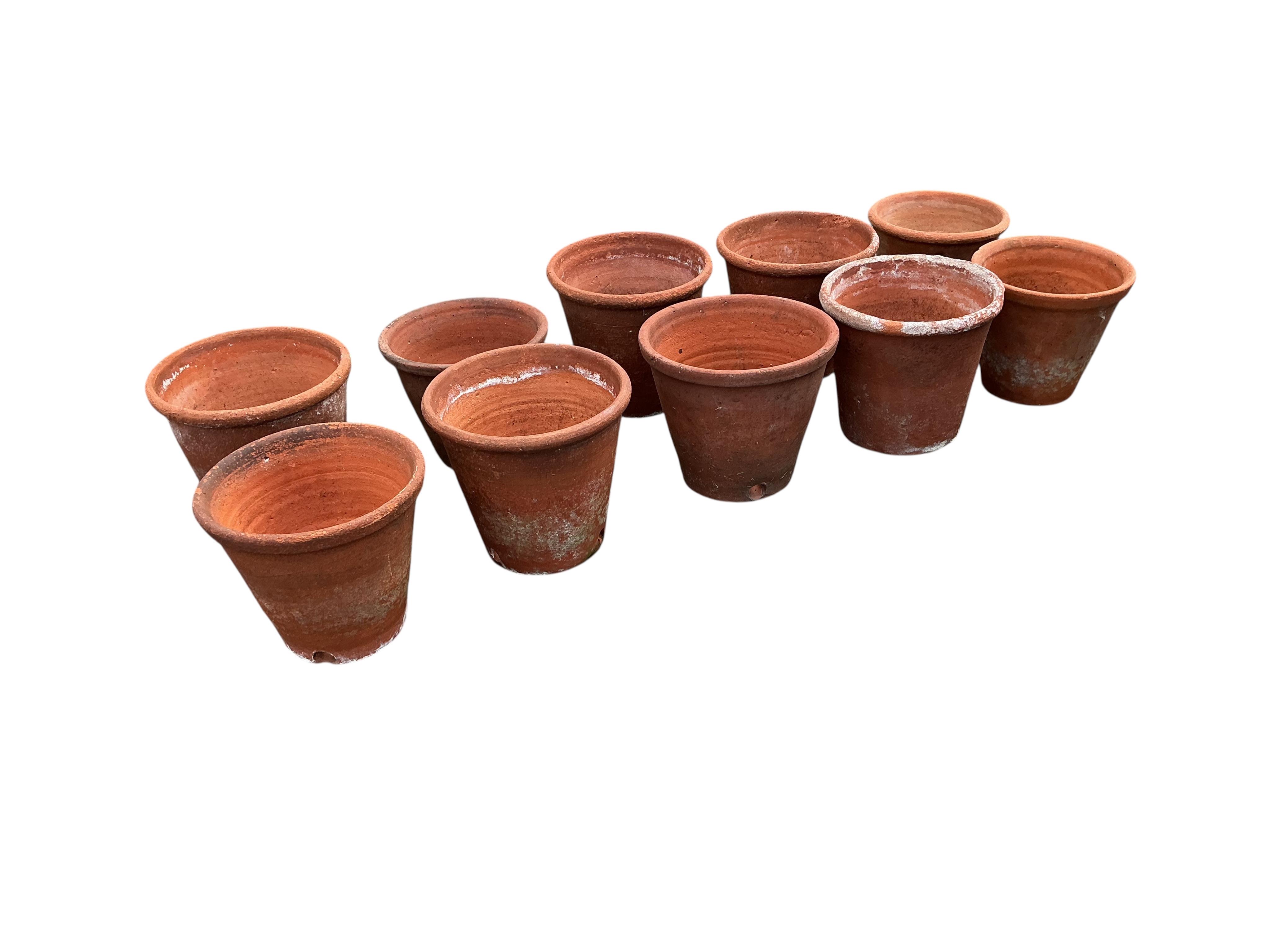 A set of ten terracotta garden planters, largest diameter 24cm, height 22cm